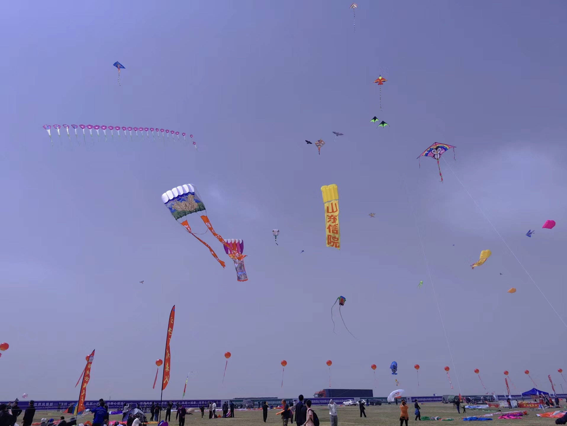 微信图片_20230512111508.jpg